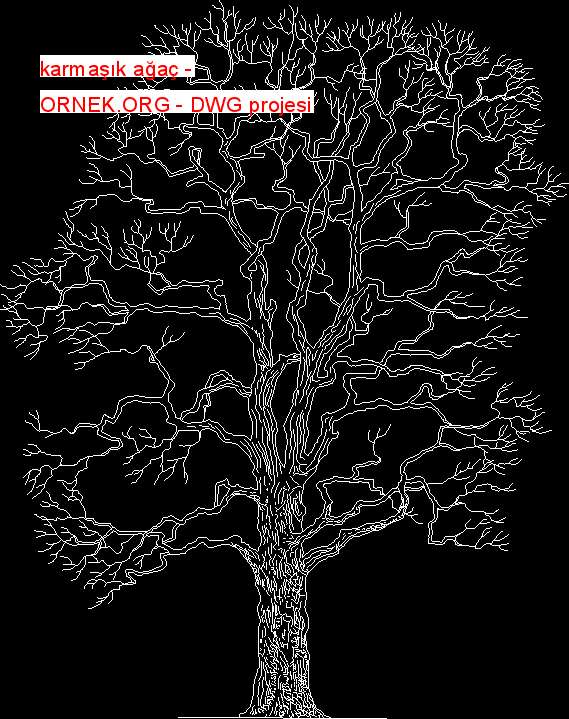 karmaşık ağaç Autocad Çizimi