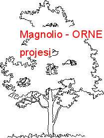 Magnolio Autocad Çizimi