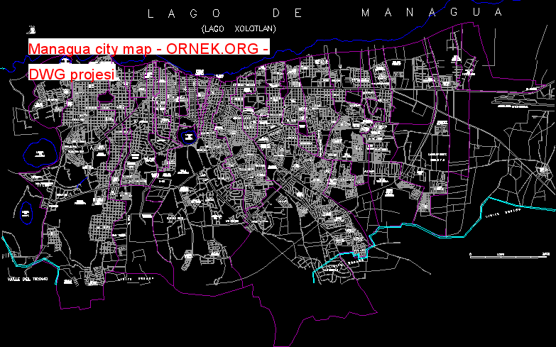 Managua city map Autocad Çizimi