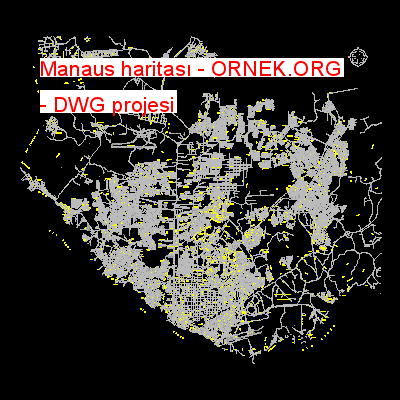 Manaus haritası