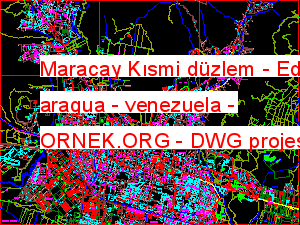 Maracay Kısmi düzlem - Edo aragua - venezuela