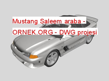Mustang Saleem araba Autocad Çizimi