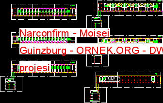 Narconfirm - Moisei Guinzburg Autocad Çizimi