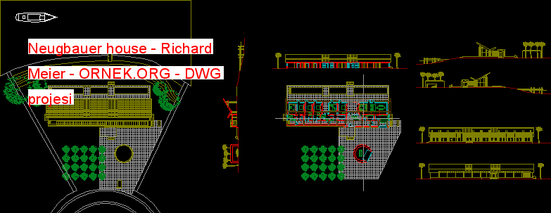 Neugbauer Ev Daire - Richard Meier Autocad Çizimi