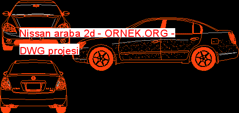 Nissan araba 2d