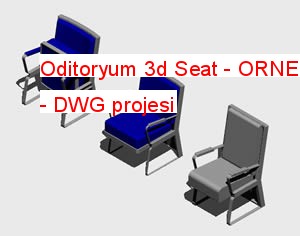 Oditoryum 3d Seat