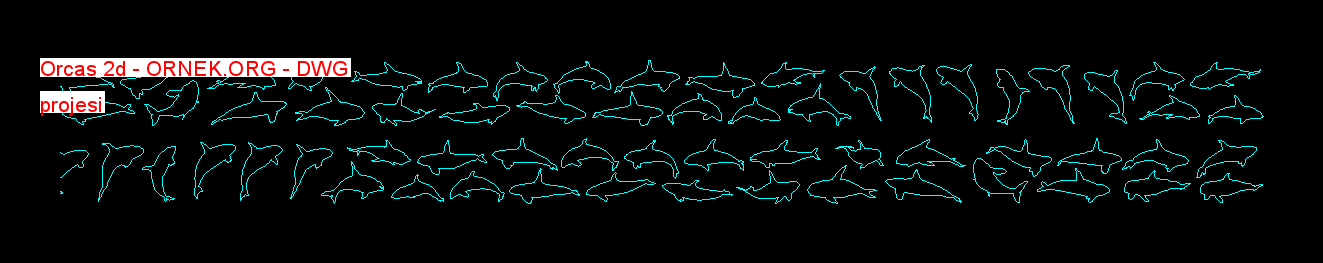 Orcas 2d Autocad Çizimi