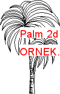 Palm 2d yükseklik Autocad Çizimi