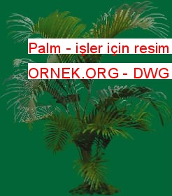 Palm - işler için resim