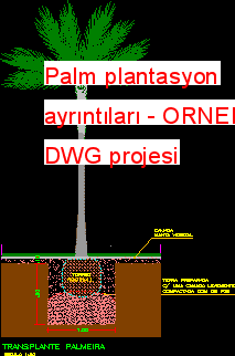 Palm plantasyon ayrıntıları Autocad Çizimi