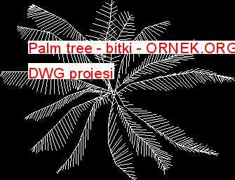 Palm tree - bitki Autocad Çizimi
