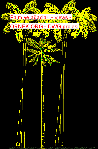 Palmiye ağaçları - views Autocad Çizimi