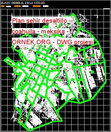 Plan şehir desaltillo - coahuila - meksika Autocad Çizimi