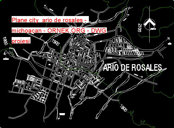 Plane city  ario de rosales -  michoacan Autocad Çizimi