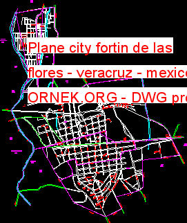 Plane city fortin de las flores - veracruz - mexico Autocad Çizimi