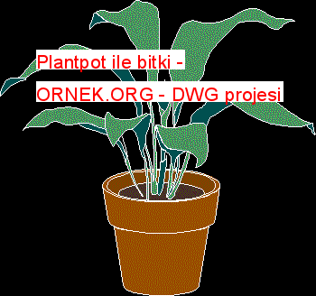 Plantpot ile bitki Autocad Çizimi