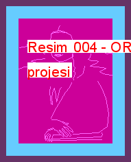 Resim 004