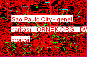 Sao Paulo City - genel haritası