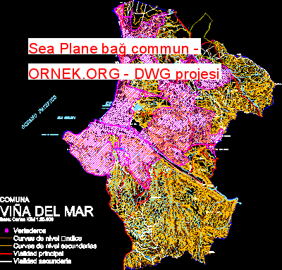 Sea Plane bağ commun Autocad Çizimi