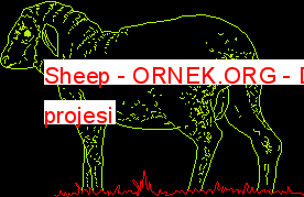 Sheep Autocad Çizimi