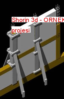 Shorin 3d