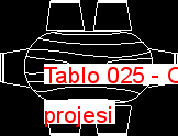 Tablo 025