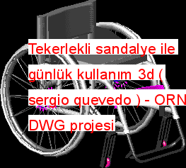 Tekerlekli sandalye ile günlük kullanım 3d ( sergio quevedo ) Autocad Çizimi