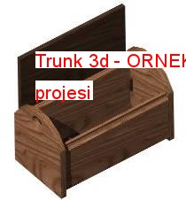 Trunk 3d