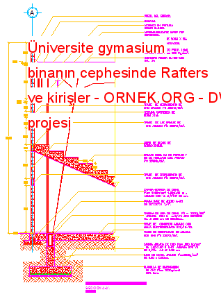 Üniversite gymasium binanın cephesinde Rafters ve kirişler