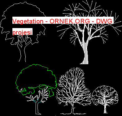 Vegetation Autocad Çizimi