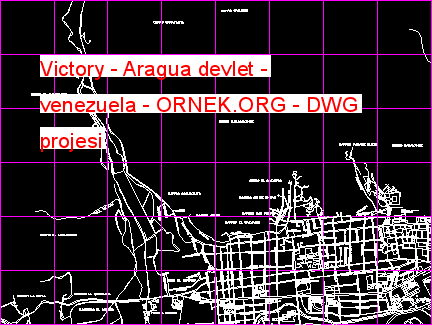 Victory - Aragua devlet - venezuela