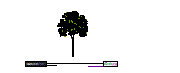 01 Ağaçlar Yükseklik Renk Tree01 Autocad Çizimi