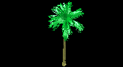 3d - palm