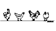 Hayvan cad blok - planı - Tavuk 001 Autocad Çizimi