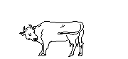 cow2d Autocad Çizimi
