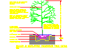 Yaprak döken ağaç Detay Autocad Çizimi