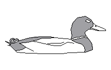 Duck1 Autocad Çizimi
