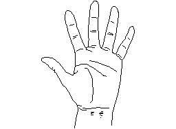 Palm5 Autocad Çizimi
