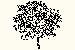 Tree16 Autocad Çizimi