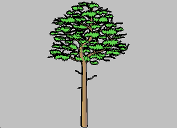 Tree2D3D Autocad Çizimi