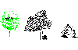 ağacı 001 Autocad Çizimi