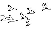 Kuşlar 1 Autocad Çizimi