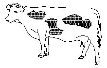 Krava2D Autocad Çizimi