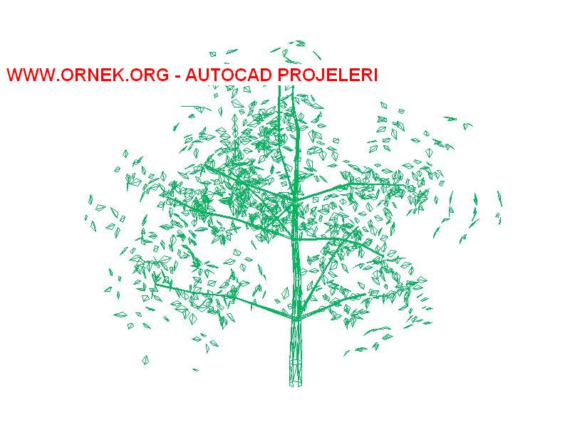 3 Boyutlu Ağaç Autocad Çizimi