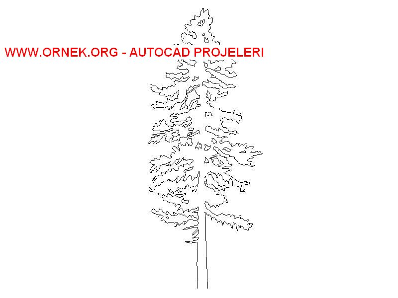 Ağaç Autocad Çizimi