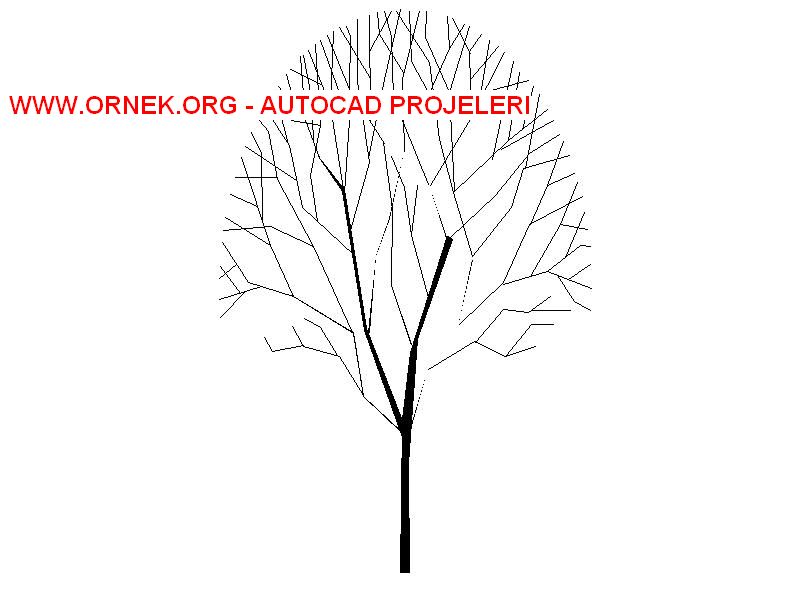 Ağaç Autocad Çizimi